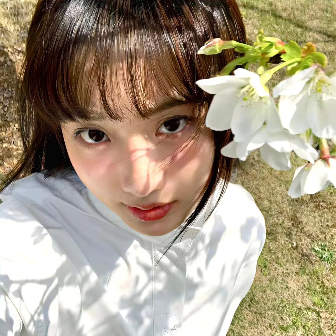 杨门少年